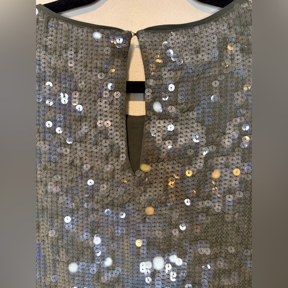 Anthropologie Velvet gray-green Sequin dress - Picture 7 of 9